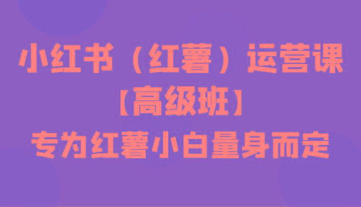 小红书(红薯)运营课【高级班】，专为红薯小白量身而定(42节课)-心语项目网