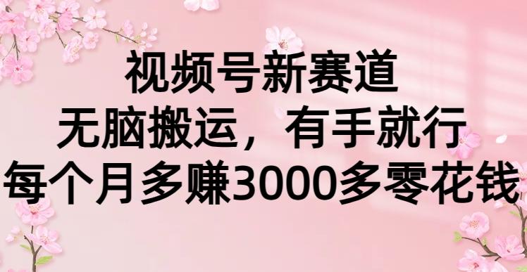 (9278期)视频号新赛道，无脑搬运，有手就行，每个月多赚3000多零花钱-心语项目网