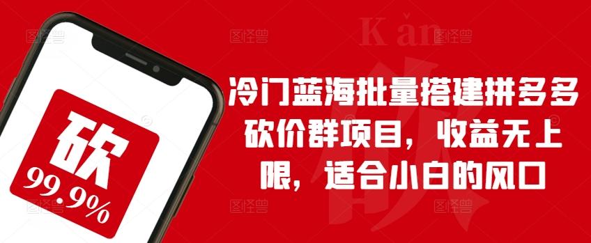冷门蓝海批量搭建拼多多砍价群项目，收益无上限，适合小白的风口【揭秘】-心语项目网
