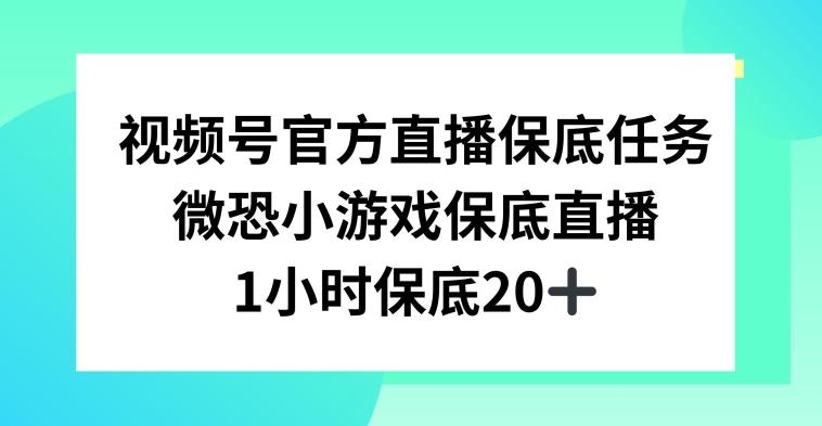 视频号直播任务，微恐小游戏，1小时20+【揭秘】-心语项目网