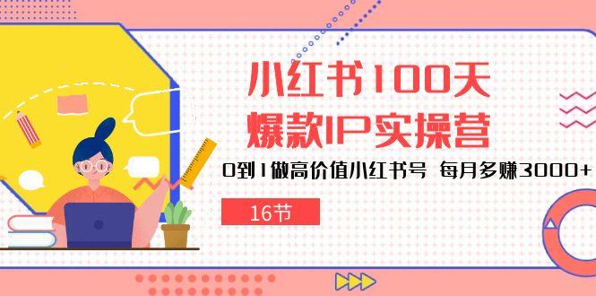 小红书100天-爆款IP实操营，0到1做高价值小红书号 每月多赚3000+(16节-心语项目网