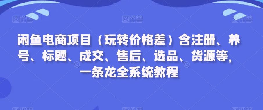 闲鱼电商项目(玩转价格差)含注册、养号、标题、成交、售后、选品、货源等，一条龙全系统教程-心语项目网
