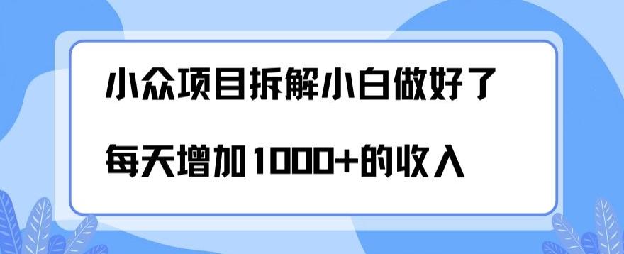 小众项目拆解，小白做好了每天可增加1000多的收入-心语项目网