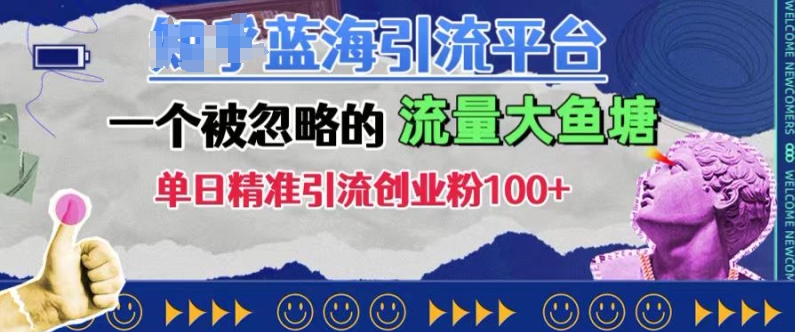 豆瓣蓝海引流平台，一个被忽略的流量大鱼塘，单日精准引流创业粉100+-心语项目网