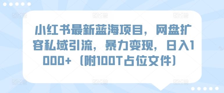 小红书最新蓝海项目，网盘扩容私域引流，暴力变现，日入1000+(附100T占位文件)【揭秘】-心语项目网