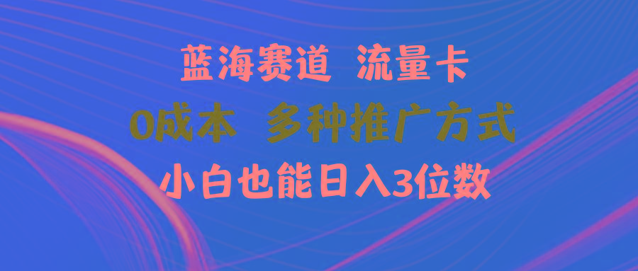 蓝海赛道 流量卡 0成本 小白也能日入三位数-心语项目网