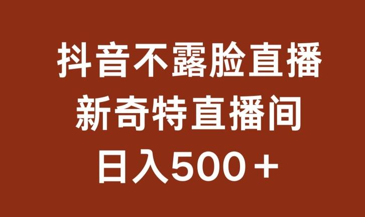 不露脸挂机直播，新奇特直播间，日入500+【揭秘】-心语项目网