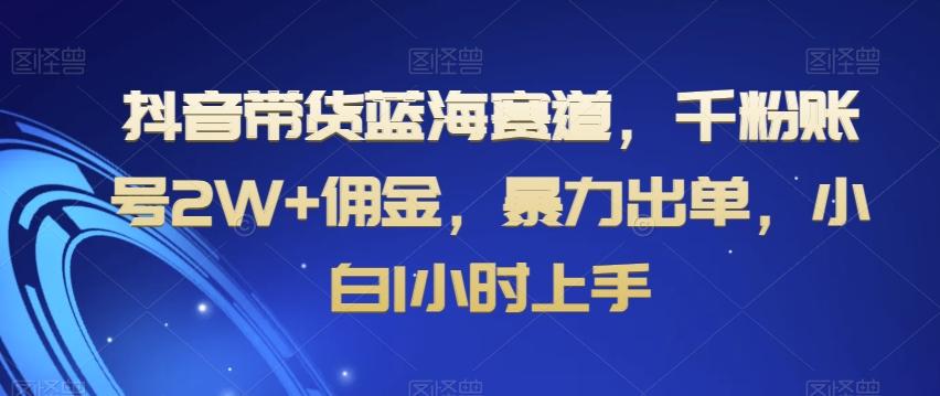 抖音带货蓝海赛道，千粉账号2W+佣金，暴力出单，小白1小时上手【揭秘】-心语项目网