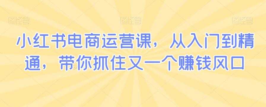 小红书电商运营课，从入门到精通，带你抓住又一个赚钱风口-心语项目网