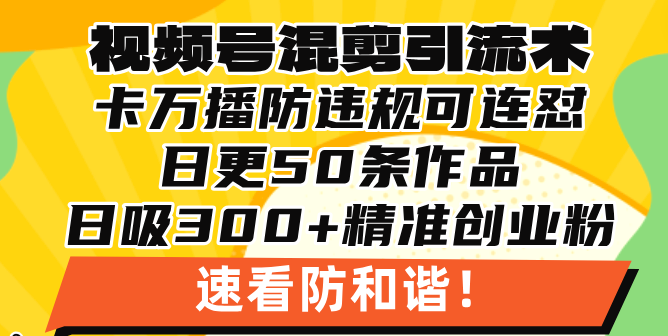 视频号混剪引流技术，500万播放引流17000创业粉，操作简单当天学会-心语项目网
