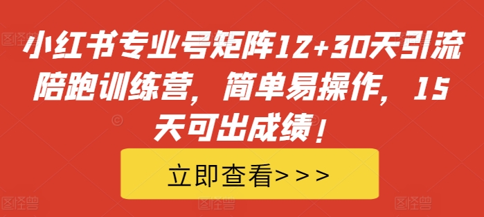 小红书专业号矩阵12+30天引流陪跑训练营，简单易操作，15天可出成绩!-心语项目网
