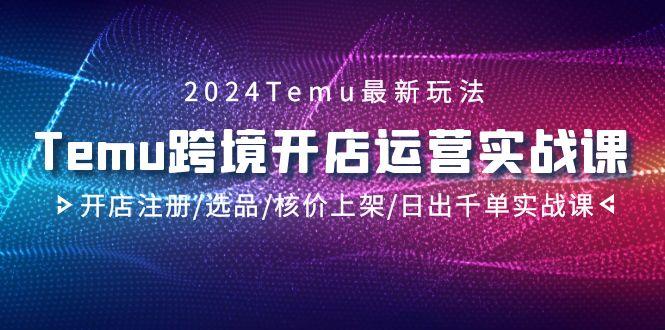 2024Temu跨境开店运营实战课，开店注册/选品/核价上架/日出千单实战课-心语项目网
