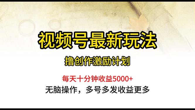 视频号最新玩法，每日一小时月入5000+-心语项目网