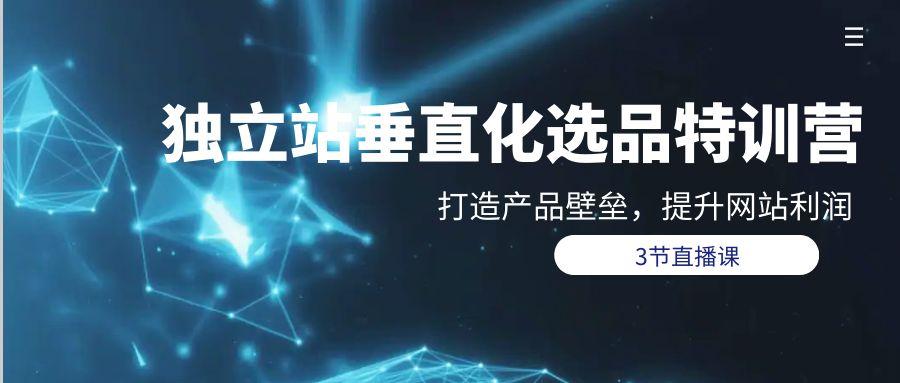 (9925期)独立站-垂直化选品训练营，打造产品壁垒，提升网站利润(3节直播课)-心语项目网