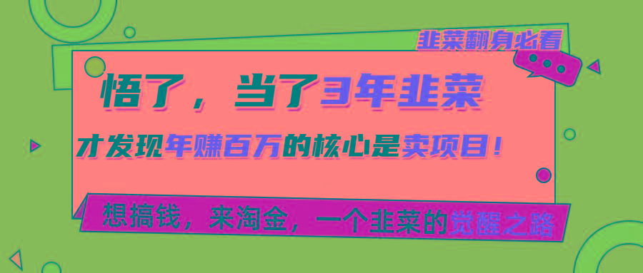 悟了，当了3年韭菜，才发现网赚圈年赚100万的核心是卖项目，含泪分享！-心语项目网
