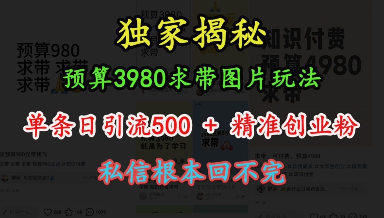 预算3980求带 图片玩法，单条日引流500+精准创业粉，私信根本回不完-心语项目网