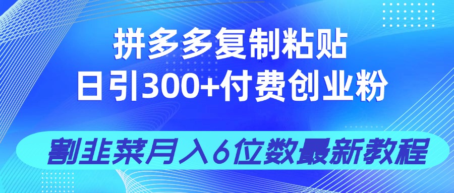 拼多多复制粘贴日引300+付费创业粉，割韭菜月入6位数最新教程！-心语项目网