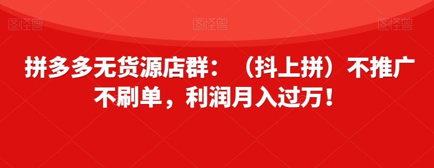 拼多多无货源店群：（抖上拼）不推广不刷单，利润月入过万！【揭秘】-心语项目网