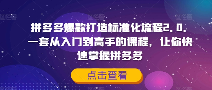 拼多多爆款打造标准化流程2.0，一套从入门到高手的课程，让你快速掌握拼多多-心语项目网