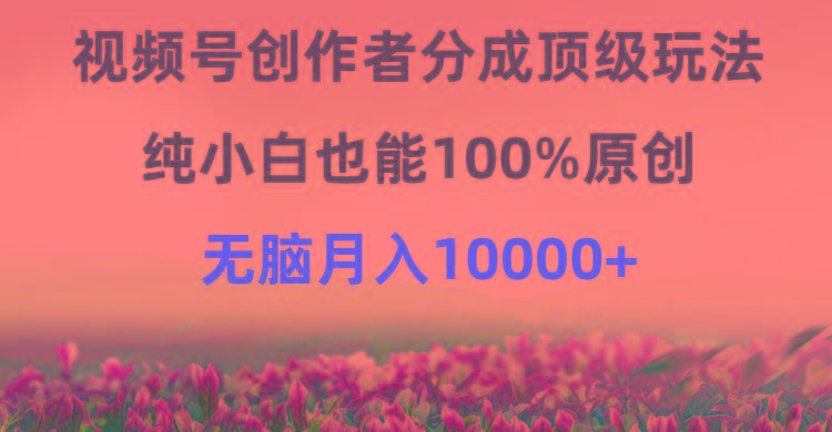 (9608期)视频号创作者分成顶级玩法，纯小白也能100%原创，无脑月入10000+-心语项目网