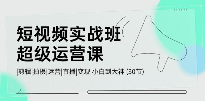 短视频实战班超级运营课 |剪辑|拍摄|运营|直播|变现 小白到大神 (30节)-心语项目网
