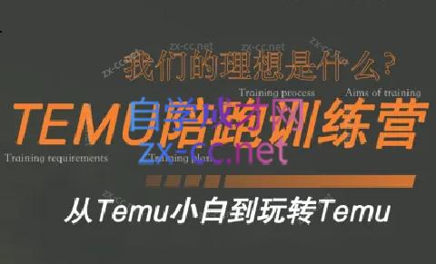 苗苗·拼多多跨境（temu）课程-心语项目网