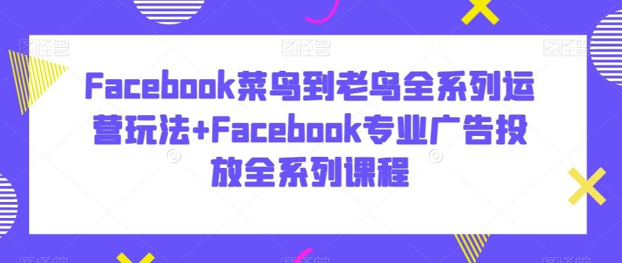 Facebook菜鸟到老鸟全系列运营玩法+Facebook专业广告投放全系列课程-心语项目网