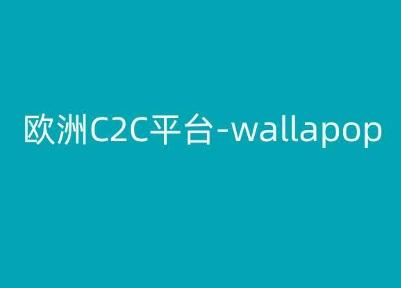 欧洲C2C平台-wallapop-kim跨境电商教程-心语项目网