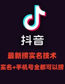 最新技术抖音捞实名+捞手机号技术，抖音直播封禁释放十名/手机号，直接替换出来!-心语项目网