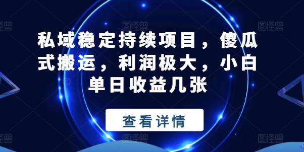 私域稳定持续项目，傻瓜式搬运，利润极大，小白单日收益几张【揭秘】-心语项目网