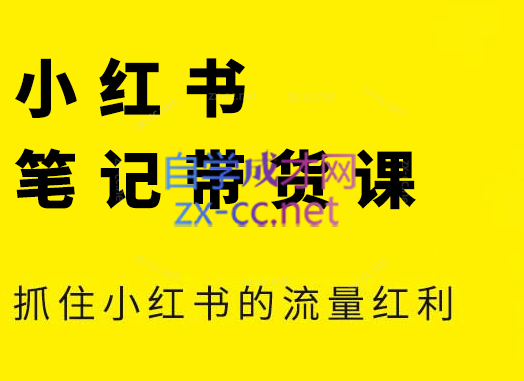 张宾·小红书笔记带货课(更新24年7月)-心语项目网