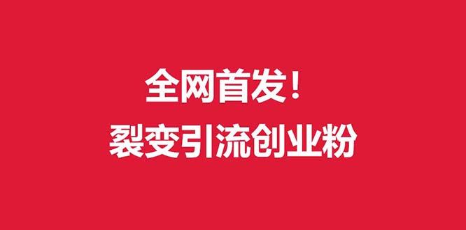 (全网首发)外面收费几千的裂变引流高质量创业粉-心语项目网