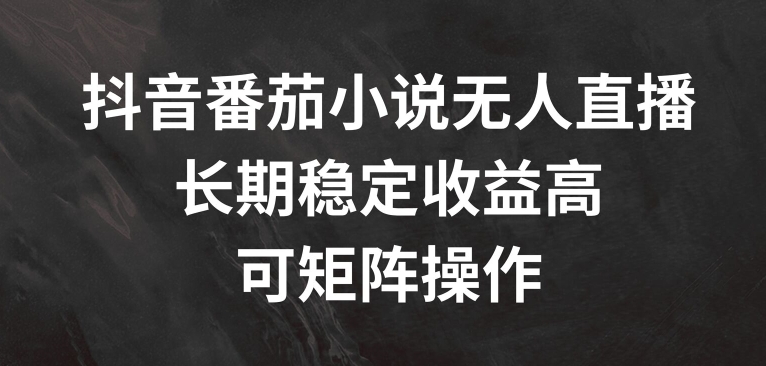 抖音番茄小说无人直播，长期稳定收益高，可矩阵操作【揭秘】-心语项目网