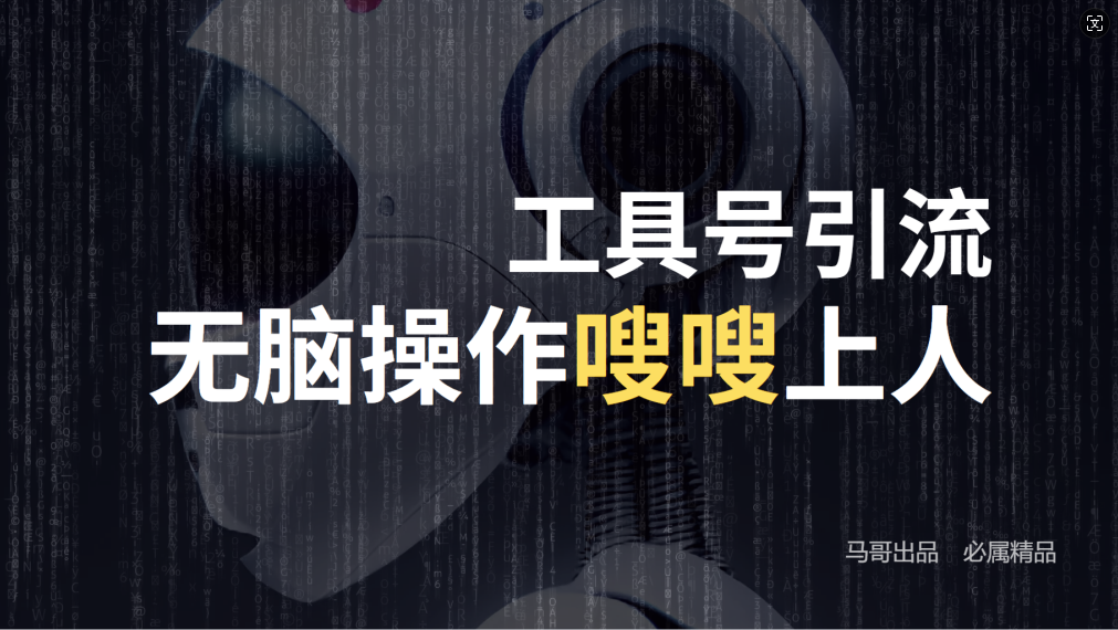 24年抖音最新工具号日引流300+创业粉，日入5000+-心语项目网