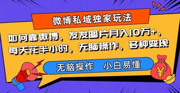 如何靠微博，发发图片月入10万+，‌每天花半小时，无脑操作，多种变现-心语项目网