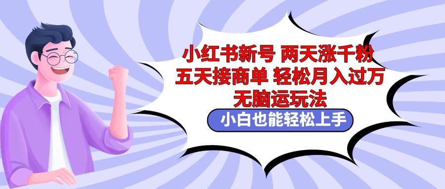 小红书新号两天涨千粉五天接商单轻松月入过万 无脑搬运玩法 小白也能轻…-心语项目网