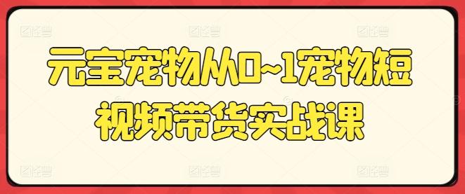 元宝宠物从0~1宠物短视频带货实战课-心语项目网