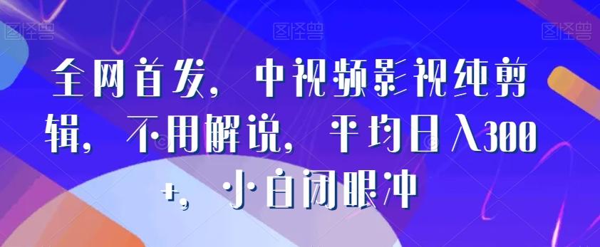 全网首发，中视频影视纯剪辑，不用解说，平均日入300+，小白闭眼冲-心语项目网