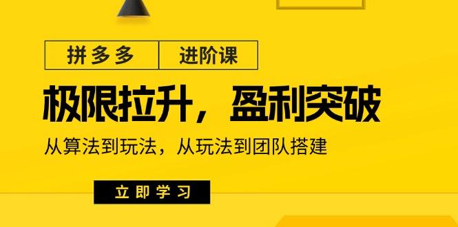 拼多多·进阶课：极限拉升/盈利突破：从算法到玩法 从玩法到团队搭建-18节-心语项目网