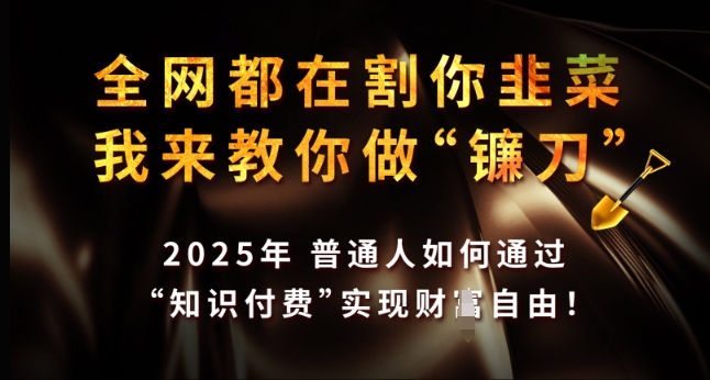 全网都在割你韭菜，我来教你做镰刀，2025年普通人如何通过 知识付费 实现财F自由【揭秘】-心语项目网