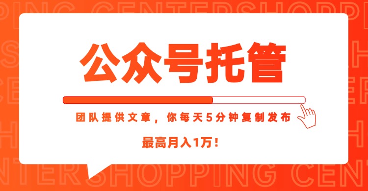 【公众号托管 】我提供文章，你每天５分钟复制发布，最高月入1W-心语项目网