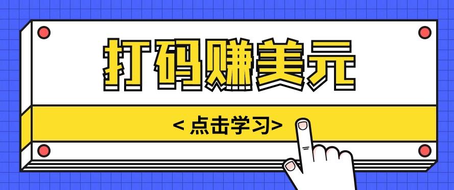 手动输入验证码，每天多投入几个小时，也能轻松获得两三千元的收入-心语项目网