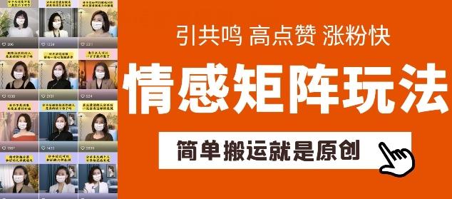 简单搬运，情感矩阵玩法，涨粉速度快，可带货，可起号【揭秘】-心语项目网