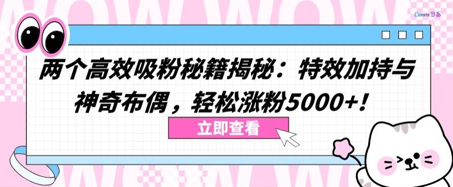 两个高效吸粉秘籍揭秘：特效加持与神奇布偶，轻松涨粉5000+【揭秘】-心语项目网