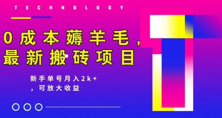 0成本薅羊毛,最新搬砖项目,新手单号月入2k+,可放大操作