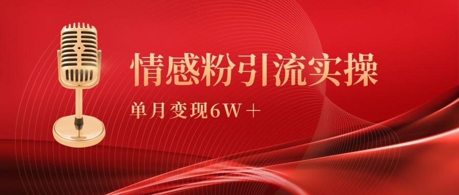 (9473期)单月变现6w+，情感粉引流变现实操课-心语项目网
