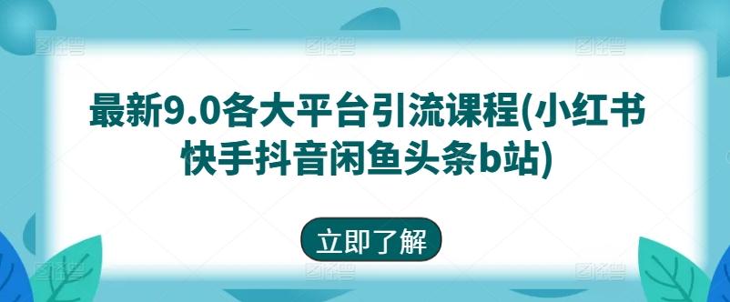 最新9.0各大平台引流课程(小红书快手抖音闲鱼头条b站)-心语项目网