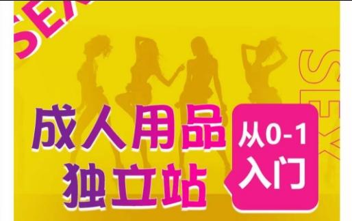成人用品独立站从0-1入门，成品独立站运营全流程教学，七大好卖成品独立站推荐-心语项目网