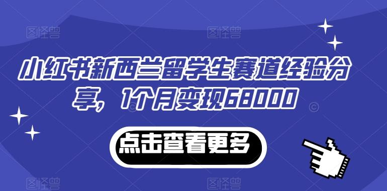 小红书新西兰留学生赛道经验分享，1个月变现68000【揭秘】-心语项目网