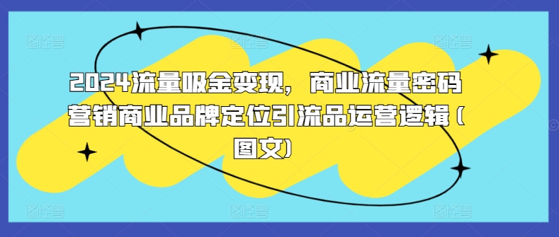 2024流量吸金变现，商业流量密码营销商业品牌定位引流品运营逻辑(图文)-心语项目网